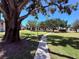 Well maintained green space featuring lush grass and mature trees in a quiet setting at 107 Caldwell Dr # 178M, Brandon, FL 33510