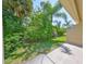Outdoor patio area featuring tropical greenery, a small lawn, and privacy landscaping at 11029 Winter Crest Dr Dr, Riverview, FL 33569
