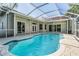 Backyard screened pool features beautiful brick pavers and access to the home at 1119 Hounds Run, Safety Harbor, FL 34695