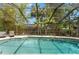 Inviting screened pool area surrounded by lush landscaping and comfortable lounge chairs at 3320 Pattie Pl, Palm Harbor, FL 34685