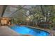 Evening view of the private screened-in pool, backyard, and patio with ambient outdoor lighting at 3320 Pattie Pl, Palm Harbor, FL 34685