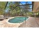 A gorgeous screened-in pool area offers a private oasis with lush tropical landscaping at 3320 Pattie Pl, Palm Harbor, FL 34685