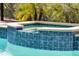 The image showcases a beautiful blue tile hot tub with a lush tropical backdrop at 5313 Sanderling Ridge Dr, Lithia, FL 33547