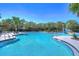 Gathering-friendly community pool with shallow areas, splash features, and lounge seating at 5313 Sanderling Ridge Dr, Lithia, FL 33547