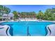 Relaxing community pool with palm trees and lounge seating, perfect for a sunny day at 5313 Sanderling Ridge Dr, Lithia, FL 33547