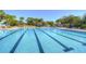 Bright community pool with marked lanes surrounded by lush palm trees and lounge seating at 5313 Sanderling Ridge Dr, Lithia, FL 33547