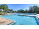 Bright community pool with mature palm trees, shallow ends and a volleyball net at 5313 Sanderling Ridge Dr, Lithia, FL 33547