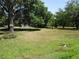 Large grassy front yard with mature trees providing ample shade and privacy at 5602 N Dormany Rd, Plant City, FL 33565