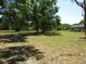 Expansive grassy front yard with mature trees providing a private and serene setting at 5602 N Dormany Rd, Plant City, FL 33565