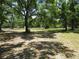 Large, expansive yard with mature trees providing ample shade and a peek at the distant white fence at 5602 N Dormany Rd, Plant City, FL 33565