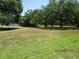 Lush, green yard featuring mature trees offering plenty of natural shade, giving a serene landscape at 5602 N Dormany Rd, Plant City, FL 33565