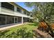 Spacious backyard featuring a screened patio and lush landscaping, perfect for outdoor enjoyment at 621 Duchess Blvd, Dunedin, FL 34698