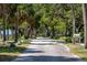 Quiet street lined with trees and lush greenery, showcasing a serene residential area at 621 Duchess Blvd, Dunedin, FL 34698