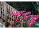 Vibrant pink flowers cascade near wooden stairs, adding charm to the landscape at 633 Soundview Dr, Palm Harbor, FL 34683