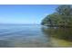 A person paddleboards on a calm, clear body of water at 633 Soundview Dr, Palm Harbor, FL 34683