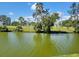 Scenic pond view surrounded by lush greenery and mature trees at 9035 37Th N St, Pinellas Park, FL 33782