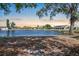 Backyard view of the lake surrounded by lush trees at sunset at 1002 Strawpocket Pl, Sun City Center, FL 33573
