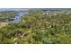 Expansive aerial shot of a wooded area with winding trails and a tranquil pond at 2611 Eagle Crest Ct, Holiday, FL 34691