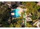 Aerial view of a pool surrounded by palm trees and lush landscaping, creating a resort-like atmosphere at 716 Seagate Dr # 716, Tampa, FL 33602