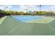 Well-maintained tennis courts with blue playing surface and green border, surrounded by trees at 10260 Devonshire Lake Dr, Tampa, FL 33647