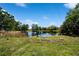 Scenic view of a tranquil pond surrounded by lush greenery, creating a serene natural setting at 1033 Hammock Cir, Tarpon Springs, FL 34688