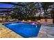 Stunning in-ground pool and stone pizza oven featured in this screened outdoor space at 11804 Carrollwood Village Cv, Tampa, FL 33618