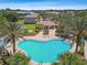 Community pool with lounge chairs, palm trees, a playground, and covered seating area at 12443 Country White Cir, Tampa, FL 33635