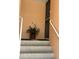 Inviting entryway with potted plant at 12478 Capri Circle N # 2, Treasure Island, FL 33706