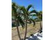 An exterior view shows palm trees and a waterfront in the community's marina and boating area at 12478 Capri Circle N # 2, Treasure Island, FL 33706