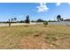 Open backyard view with a fire pit and a glimpse of the distant residences and trees behind the white perimeter fence at 13506 Wild Ginger St, Riverview, FL 33579