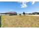 Large backyard with a white fence, offering ample space at 13506 Wild Ginger St, Riverview, FL 33579