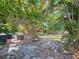 Spacious backyard featuring a patio, mature trees, and lush landscaping at 13891 Feather Sound Dr, Clearwater, FL 33762