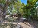 Lush backyard with stepping stones, mature trees, and ample space for recreation at 13891 Feather Sound Dr, Clearwater, FL 33762