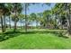 Picturesque community park with vibrant green space, tall trees providing ample shade, and playground for Gathering fun at 1647 Hamilton Ct, Dunedin, FL 34698