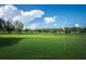 Lush green golf course fairway with a flag in the distance and scattered golf balls on a sunny day at 1647 Hamilton Ct, Dunedin, FL 34698