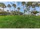 Picturesque park featuring tall palm trees, green lawn, and a charming gazebo in a tranquil outdoor setting at 1647 Hamilton Ct, Dunedin, FL 34698