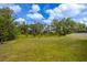 Large backyard with trees and landscaping and a view of the home at 16633 Goose Ribbon Pl, Wimauma, FL 33598