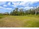 Sprawling backyard with lush lawn, trees and a view of the home at 16633 Goose Ribbon Pl, Wimauma, FL 33598
