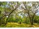 A serene, wooded lot with a natural canopy of trees overhead at 19266 Campground Rd, Brooksville, FL 34601