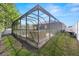 Backyard screened pool offers privacy and relaxation, surrounded by lush greenery at 19528 Sunset Bay Dr, Land O Lakes, FL 34638