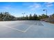 Outdoor tennis court with lights, offering a space for sport activities at 19528 Sunset Bay Dr, Land O Lakes, FL 34638