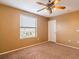 Bedroom featuring carpet, fan, and a window at 2453 Edgewater Falls Dr, Brandon, FL 33511