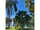 Tranquil pond view featuring mature palm trees and a water fountain, creating a serene environment at 2722 11Th Ct # 50A, Palm Harbor, FL 34684