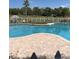 Inviting community swimming pool surrounded by lounge chairs and tropical landscaping at 3314 Pine Top Dr, Valrico, FL 33594