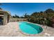 Backyard featuring an in-ground pool, paved patio, privacy fence, and lush tropical landscaping at 5928 81St N Ave, Pinellas Park, FL 33781