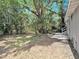 Expansive backyard with lush greenery, mature trees, and a mix of sunlight and shade at 8114 N 11Th St, Tampa, FL 33604