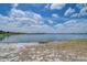 Tranquil lakefront view with natural shoreline and clear skies at 11427 Laurel Brook Ct, Riverview, FL 33569