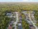 Aerial view of a neighborhood with lush trees, showcasing the density and landscape at 12531 Blazing Star Dr, Tampa, FL 33626