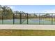 Well-maintained tennis courts provide a fun outdoor activity within the community at 12531 Blazing Star Dr, Tampa, FL 33626