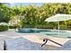 Backyard oasis boasts a sparkling pool and tranquil landscaping for relaxing days at 13135 Plantation Ter, Seminole, FL 33776